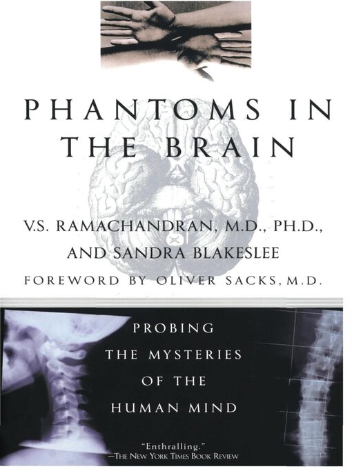 Cover image for Phantoms in the Brain